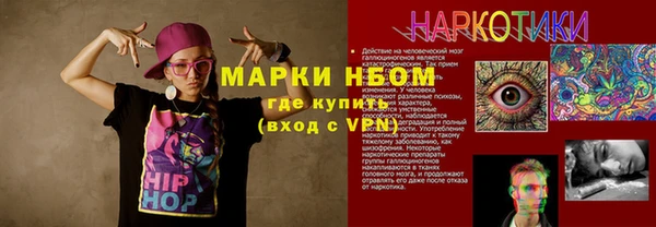 индика Беломорск