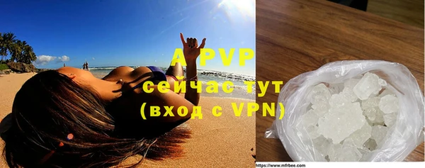 индика Беломорск