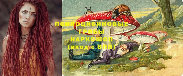 прущие крисы Белоозёрский