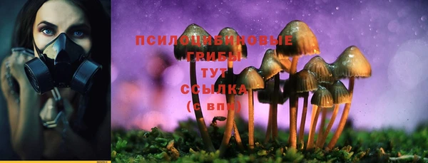 прущие крисы Белоозёрский
