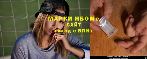 индика Беломорск