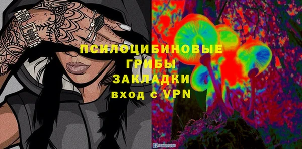 таблы Белокуриха
