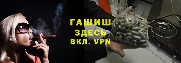 индика Беломорск