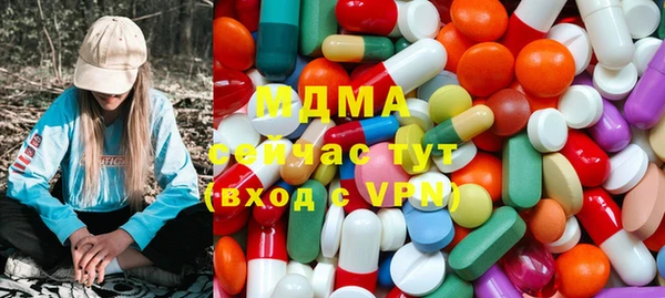 индика Беломорск