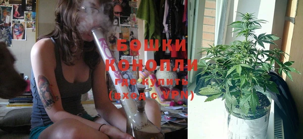 индика Беломорск